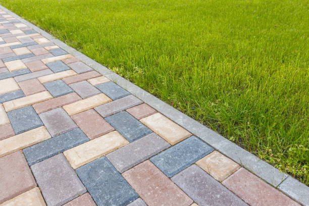 Best Driveway Paving Contractor  in Zeigler, IL